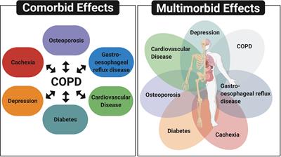 The Role of Extracellular Vesicles as a Shared Disease Mechanism Contributing to Multimorbidity in Patients With COPD